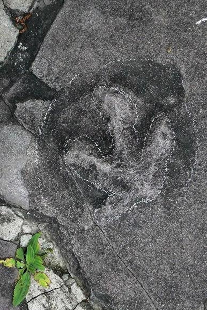 中國河北山莊驚現恐龍足跡!原來是「侏羅紀公園」 - hmitalk.com 中國河北山莊驚現恐龍足跡!原來是「侏羅紀公園」 - hmitalk.com